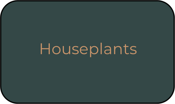 Houseplants Blends