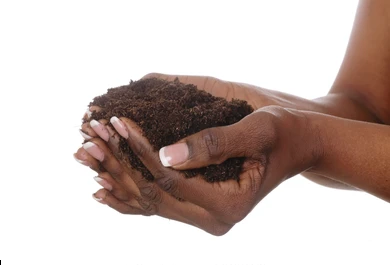 Soil, Blends and Compost