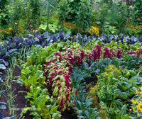 What is regenerative agriculture?
