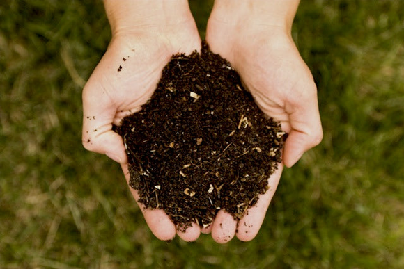 Compost