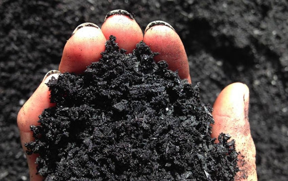 Biochar