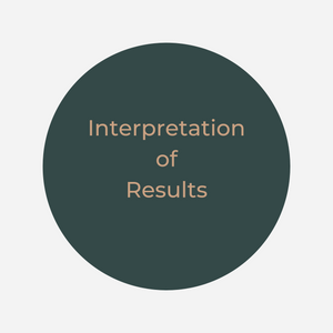Interpretation of Results