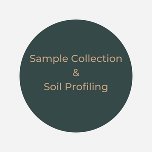 Sample Collection and Soil Profiling