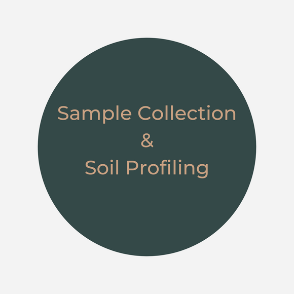 Sample Collection and Soil Profiling