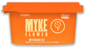 organic fertilizer